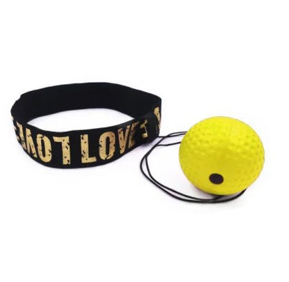 Boxing Training Ball