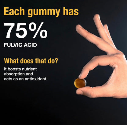 Shilijat Gummies — Natural Energy, Focus & Recovery Support